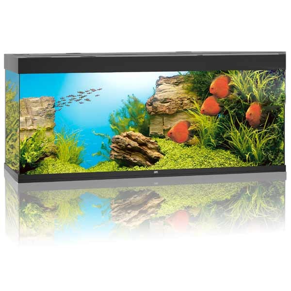 Juwel Rio 450 Black LED Aquarium 1 Juwel Rio 450 Black LED Aquarium