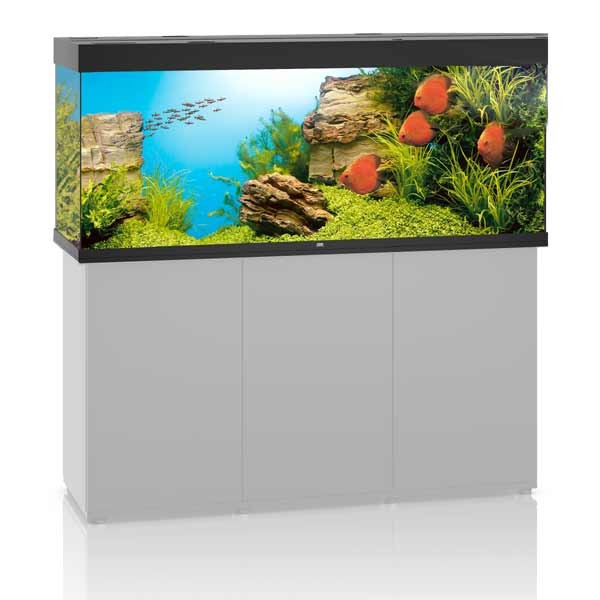 Juwel Rio 450 Black LED Aquarium 2 Juwel Rio 450 Black LED Aquarium - Image 2