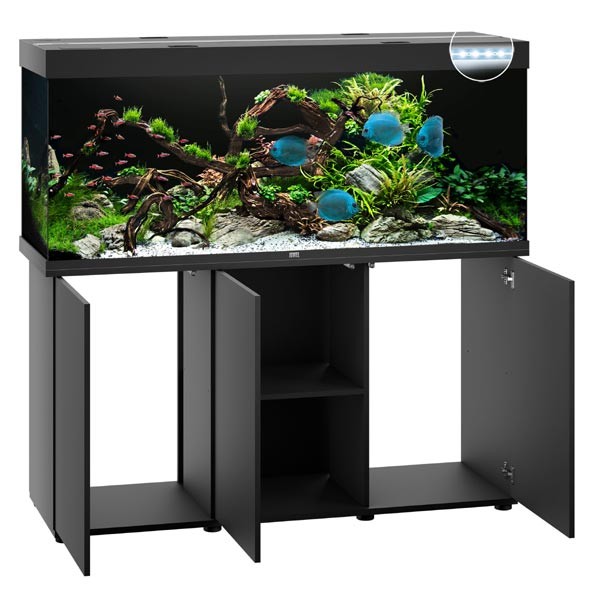 Juwel Rio 450 Black LED Aquarium & Cabinet 2 Juwel Rio 450 Black LED Aquarium & Cabinet - Image 2