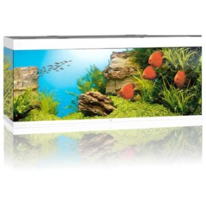 Juwel Rio 450 White LED Aquarium