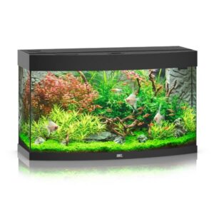 Juwel Vision 180 Black LED Aquarium