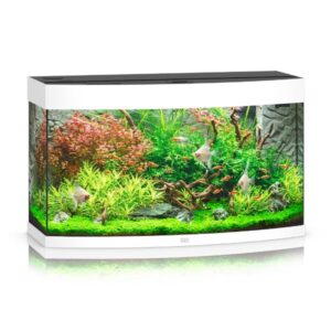 Juwel Vision 180 White LED Aquarium