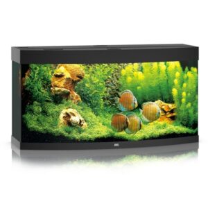 Juwel Vision 260 Black LED Aquarium