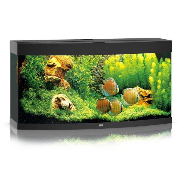 Juwel Vision 260 Black LED Aquarium 1 Juwel Vision 260 Black LED Aquarium