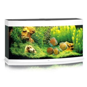 Juwel Vision 260 White LED Aquarium