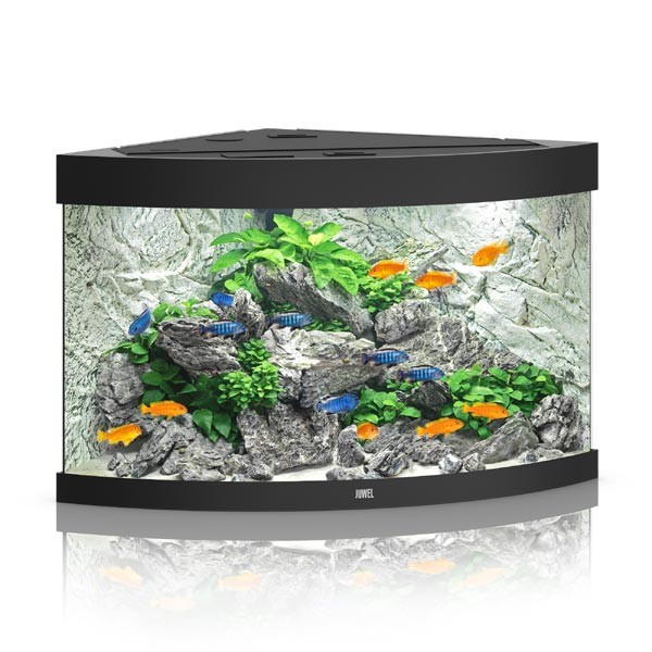 Juwel Trigon 190 Black LED Aquarium 1 Juwel Trigon 190 Black LED Aquarium