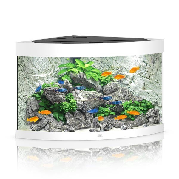Juwel Trigon 190 White LED Aquarium 1 Juwel Trigon 190 White LED Aquarium