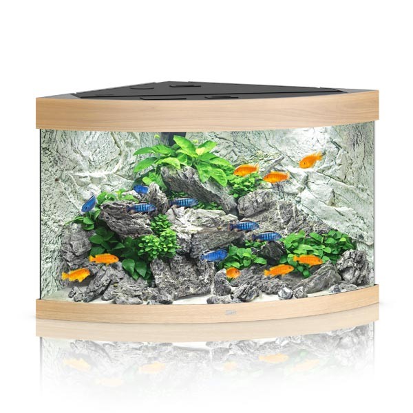 Juwel Trigon 190 Lightwood LED Aquarium 1 Juwel Trigon 190 Lightwood LED Aquarium