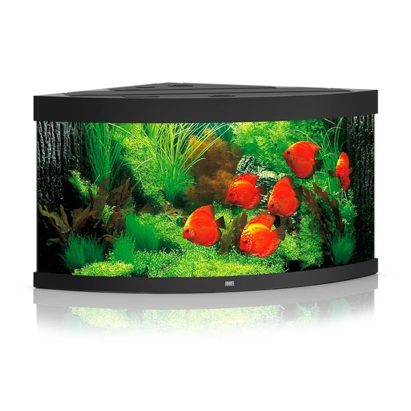 Juwel Trigon 350 Black LED Aquarium 1 Juwel Trigon 350 Black LED Aquarium