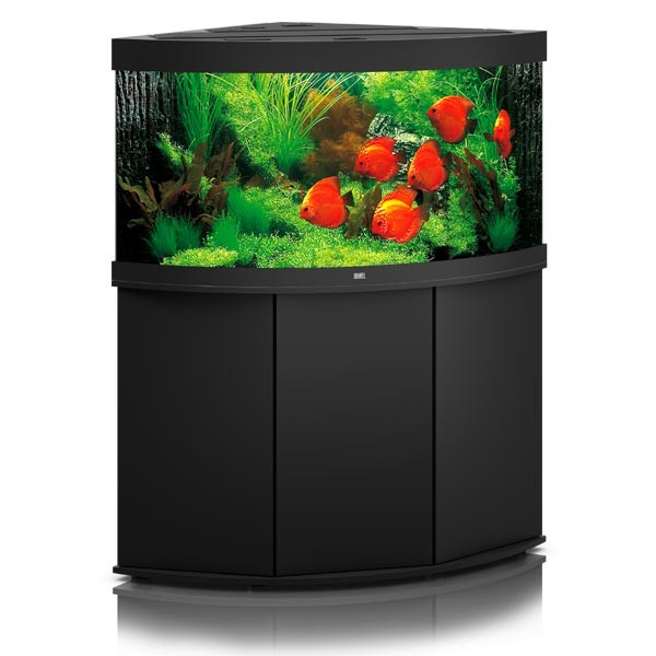 Juwel Trigon 350 Black LED Aquarium & Cabinet 1 Juwel Trigon 350 Black LED Aquarium & Cabinet