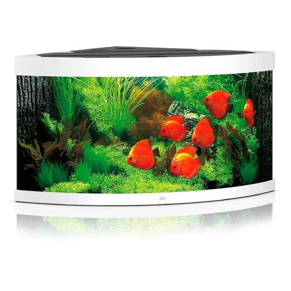 Juwel Trigon 350 White LED Aquarium