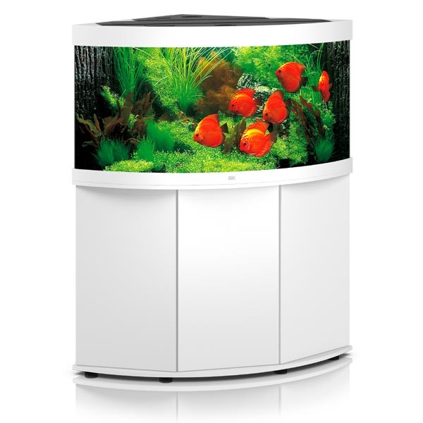 Juwel Trigon 350 White LED Aquarium & Cabinet 1 Juwel Trigon 350 White LED Aquarium & Cabinet