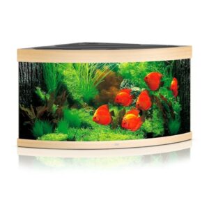 Juwel Trigon 350 Lightwood LED Aquarium