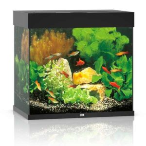 Juwel Lido 120 Black LED Aquarium