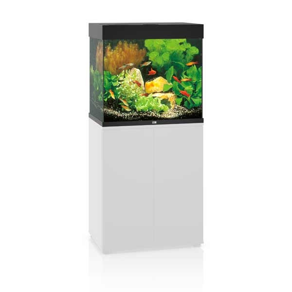 Juwel Lido 120 Black LED Aquarium 3 Juwel Lido 120 Black LED Aquarium - Image 3