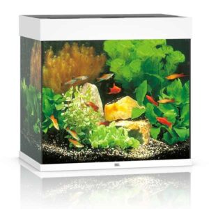Juwel Lido 120 White LED Aquarium