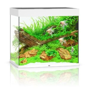Juwel Lido 200 White LED Aquarium