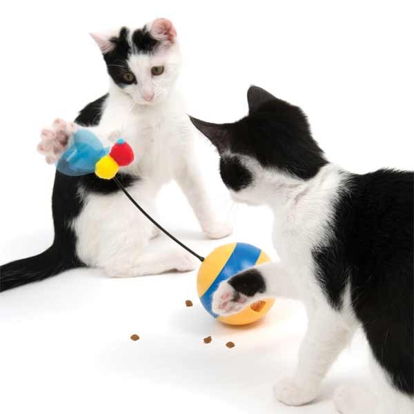 Catit Play Tumbler Bee Cat Toy 4 Catit Play Tumbler Bee Cat Toy - Image 4