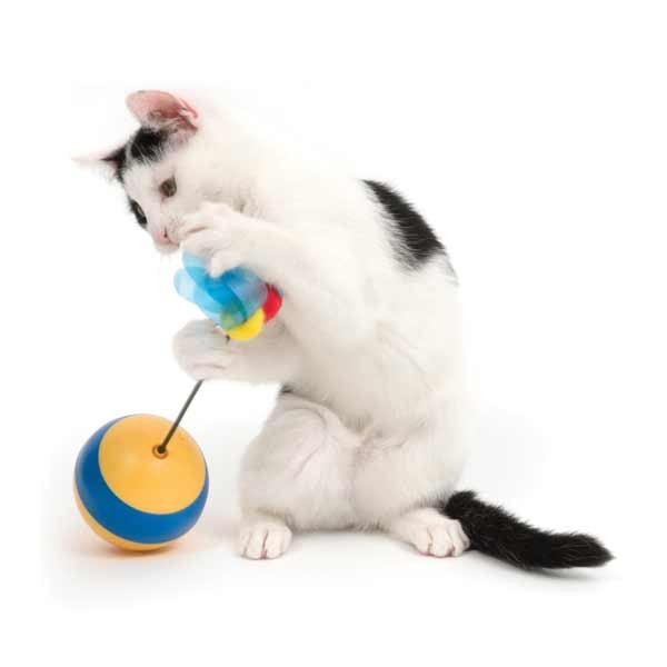 Catit Play Tumbler Bee Cat Toy 5 Catit Play Tumbler Bee Cat Toy - Image 5