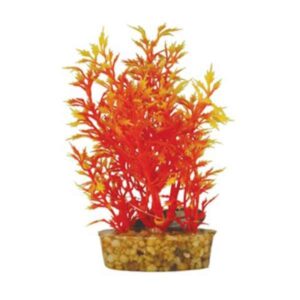 Hugo Kamishi Mizu Egeria Orange 10cm