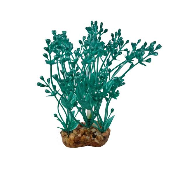Hugo Kamishi Mizu Alisma Turquoise Aquascaping Aquarium Plant Single 10cm 1 Hugo Kamishi Mizu Alisma Turquoise Aquascaping Aquarium Plant Single 10cm