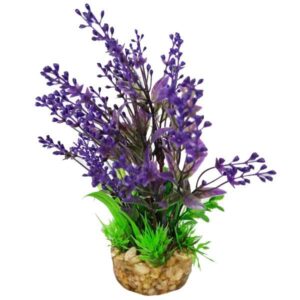 Hugo Kamishi Mizu Alisma Purple Aquascaping Aquarium Plant Single 20cm