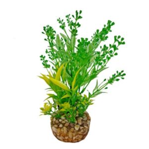 Hugo Kamishi Mizu Alisma Green Aquascaping Aquarium Plant Single 20cm