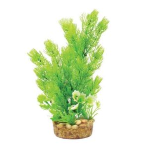 Hugo Kamishi Mizu Mix Green 20cm