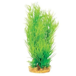 Hugo Kamishi Mizu Juncus Green 30cm