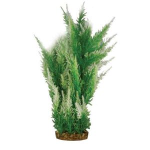 Hugo Kamishi Mizu Selaginella Wild 40cm