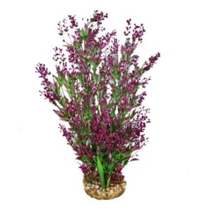 Hugo Kamishi Mizu Alisma Purple Aquascaping Aquarium Plant Single 40cm