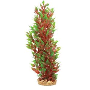 Hugo Kamishi Mizu Alternanthera Aquascaping Aquarium Plant Single 40cm