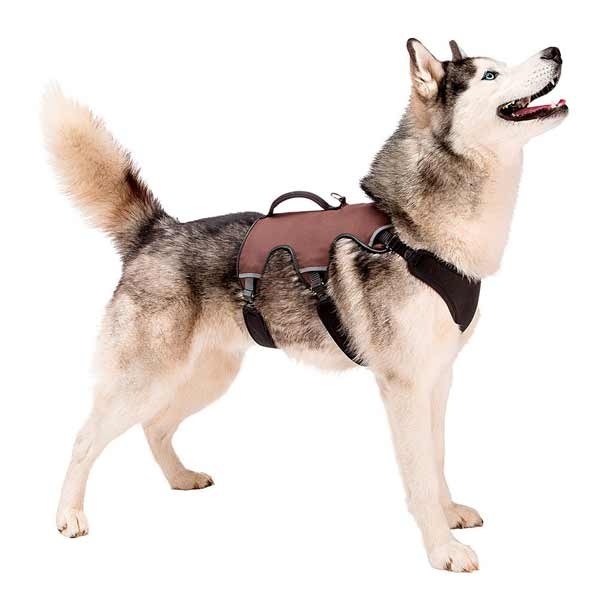 Ferplast Ergotrekking P L Harness Black 3 Ferplast Ergotrekking P L Harness Black - Image 3