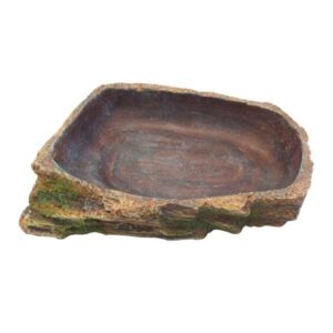 Betta Terra Medium Reptile Dark Water Dish
