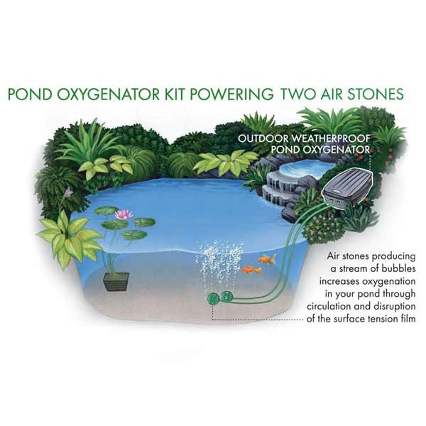 Blagdon Pond Oxygenator Kit Twin Outlet 4 Blagdon Pond Oxygenator Kit Twin Outlet - Image 4