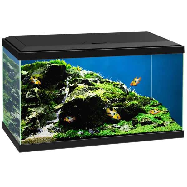 Ciano 60 Black Aquarium LED 1 Ciano 60 Black Aquarium LED