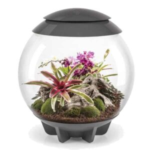 biOrb Air 60 Grey