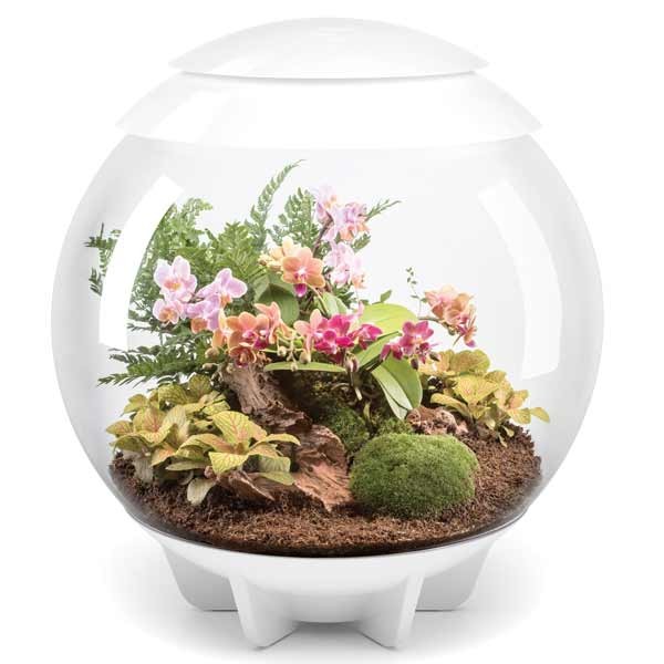 biOrb Air 60 White 1 biOrb Air 60 White