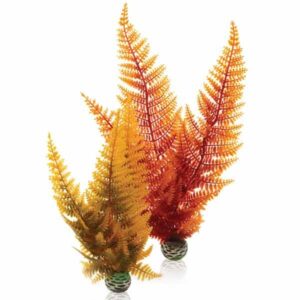 biOrb Aquatic Fern Autumn 2 Pack