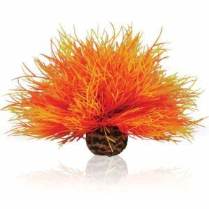 biOrb Sea Lily Flame
