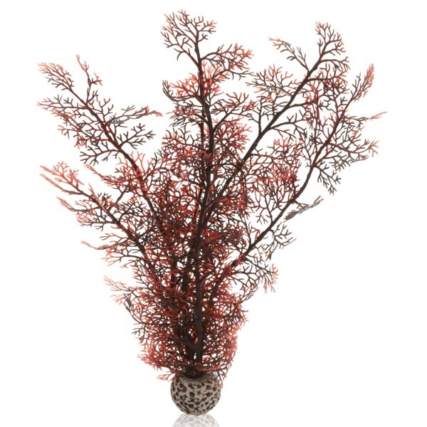 biOrb biOrb Sea Fan Crimson Large 1 biOrb biOrb Sea Fan Crimson Large