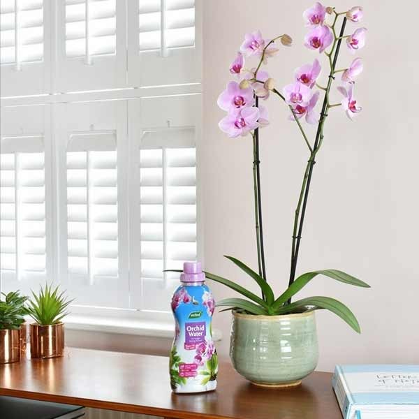 Westland Orchid Water Ready To Use 720ml 2 Westland Orchid Water Ready To Use 720ml - Image 2