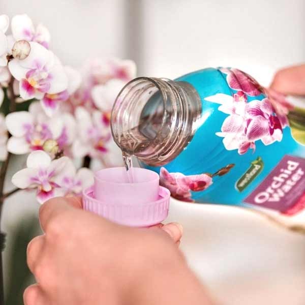Westland Orchid Water Ready To Use 720ml 3 Westland Orchid Water Ready To Use 720ml - Image 3