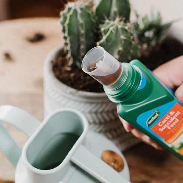 Westland Cacti & Succulent Feed Concentrate 200ml 2 Westland Cacti & Succulent Feed Concentrate 200ml - Image 2