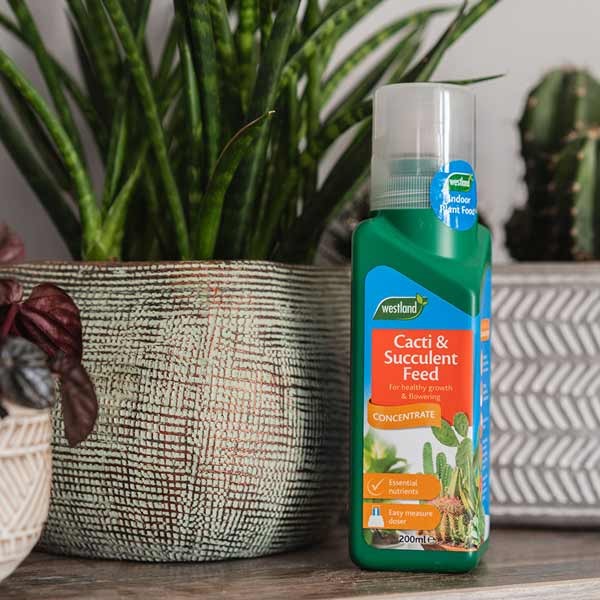 Westland Cacti & Succulent Feed Concentrate 200ml 3 Westland Cacti & Succulent Feed Concentrate 200ml - Image 3