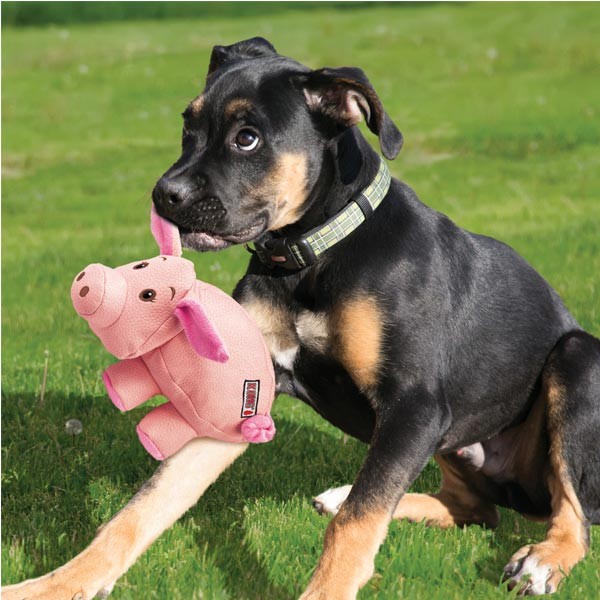 KONG Phatz Pig Small Dog Toy 2 KONG Phatz Pig Small Dog Toy - Image 2