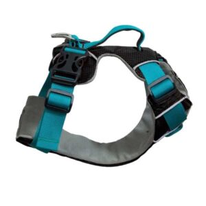 Sötnos Travel & Walking Harness Teal Extra-Small