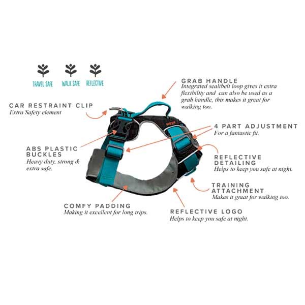 Sötnos Travel & Walking Harness Teal Medium 2 Sötnos Travel & Walking Harness Teal Medium - Image 2