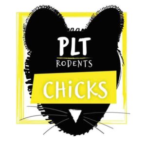 PLT Rodents Frozen Chicks 10 Pack