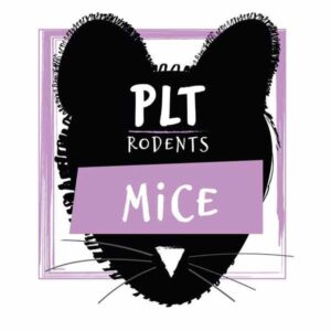 PLT Rodents Frozen Mice Medium 20g+ 10 Pack